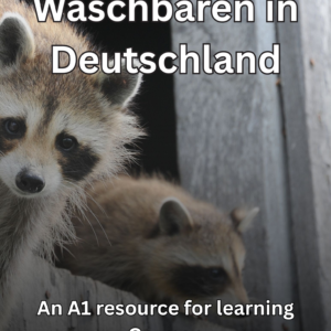 Waschbären in Deutschland: German comprehensible input lesson with slides and worksheets
