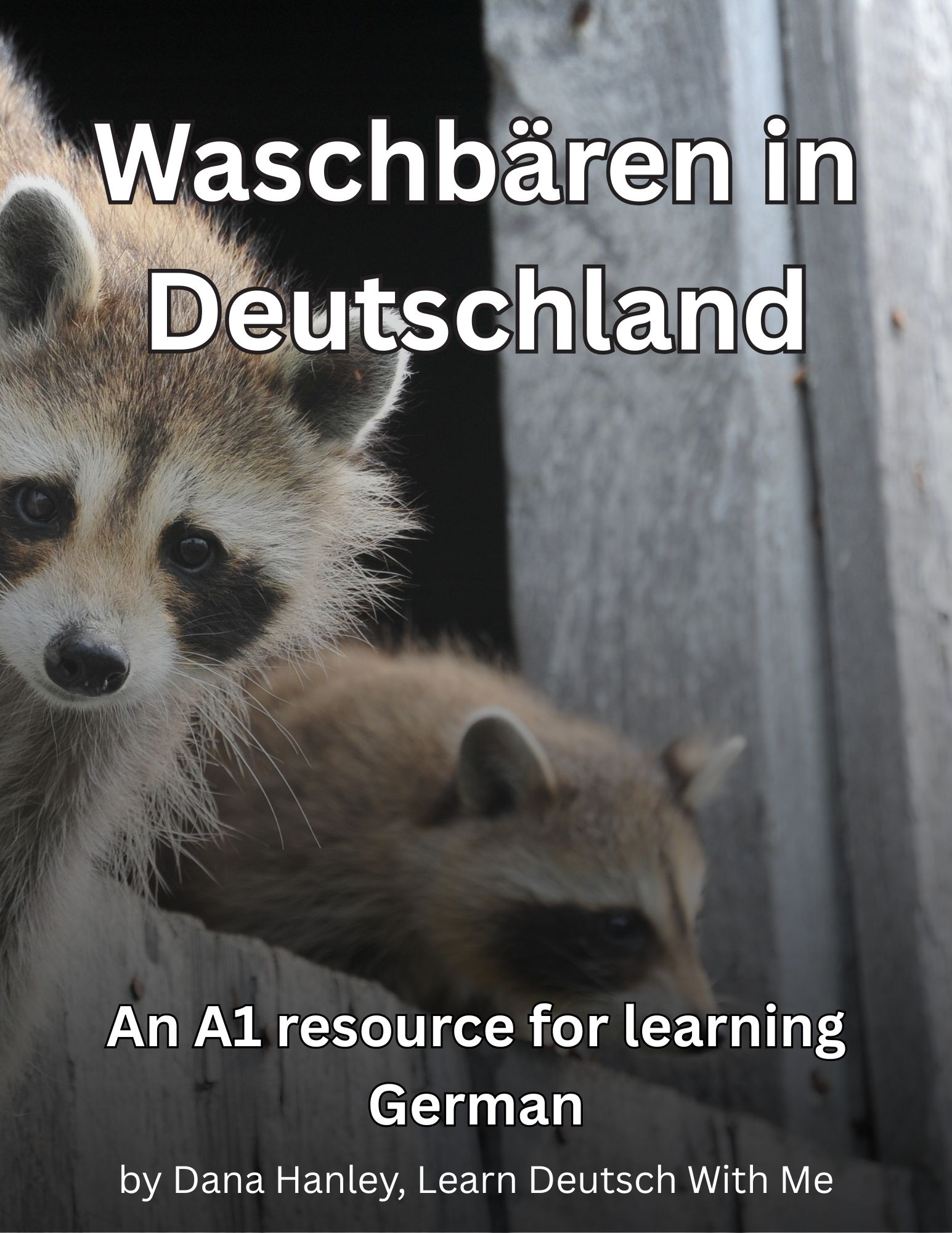 Waschbären in Deutschland: German comprehensible input lesson with slides and worksheets